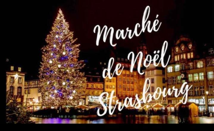 Appartement Mozart Strasbourg Ngoại thất bức ảnh